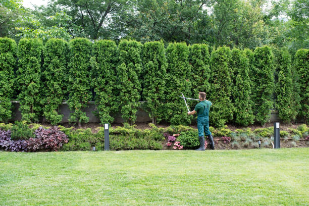 Best Artificial Turf Installation  in Aspermont, TX